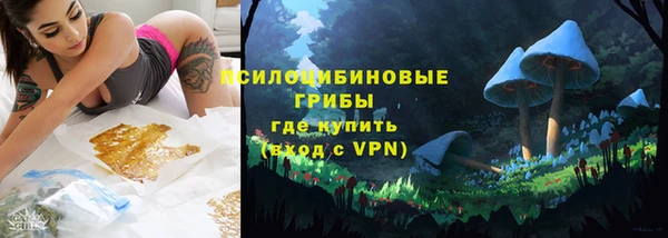 прущие грибы Алзамай
