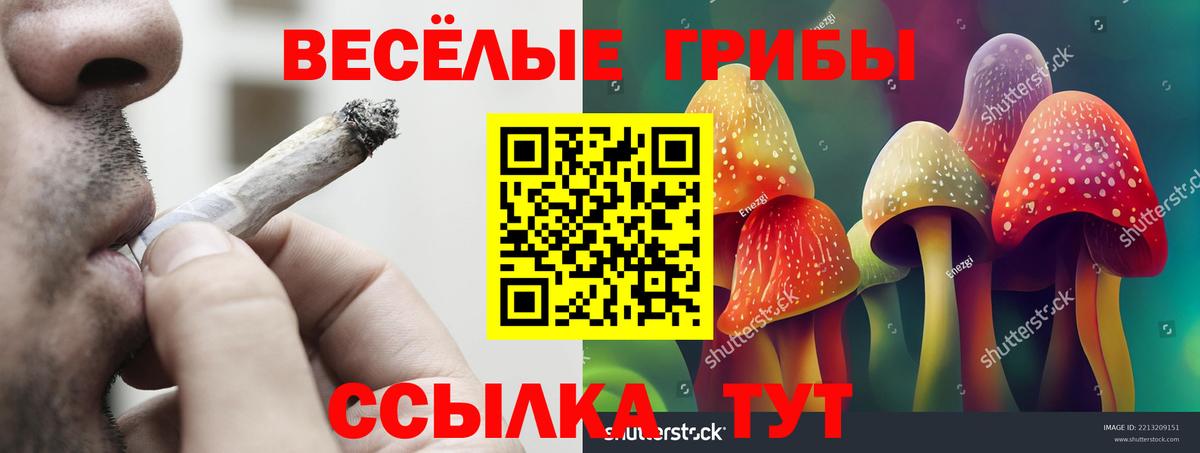 Галлюциногенные грибы прущие грибы  Вход с VPN  Россошь 